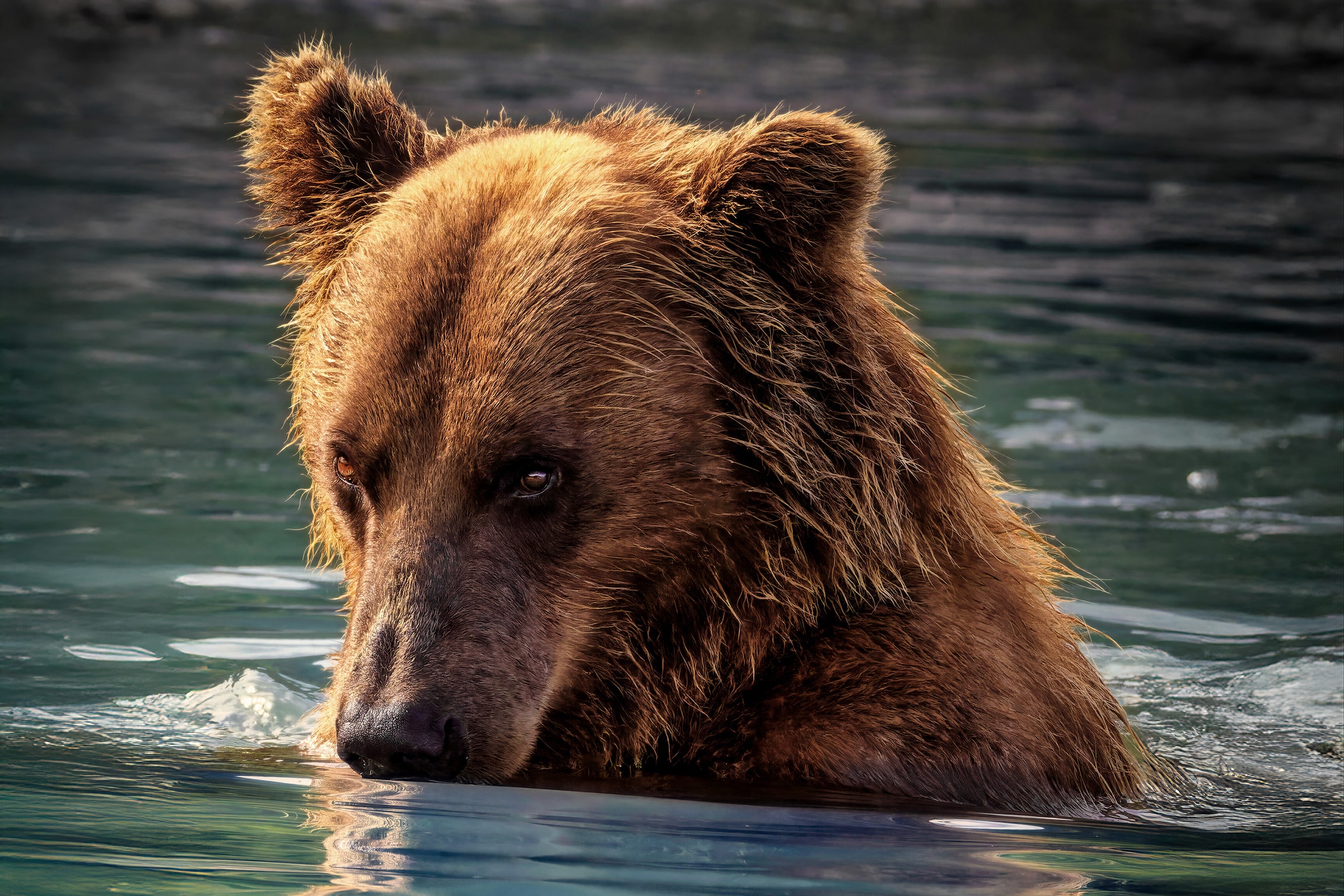 Behind the Lens: Alaska