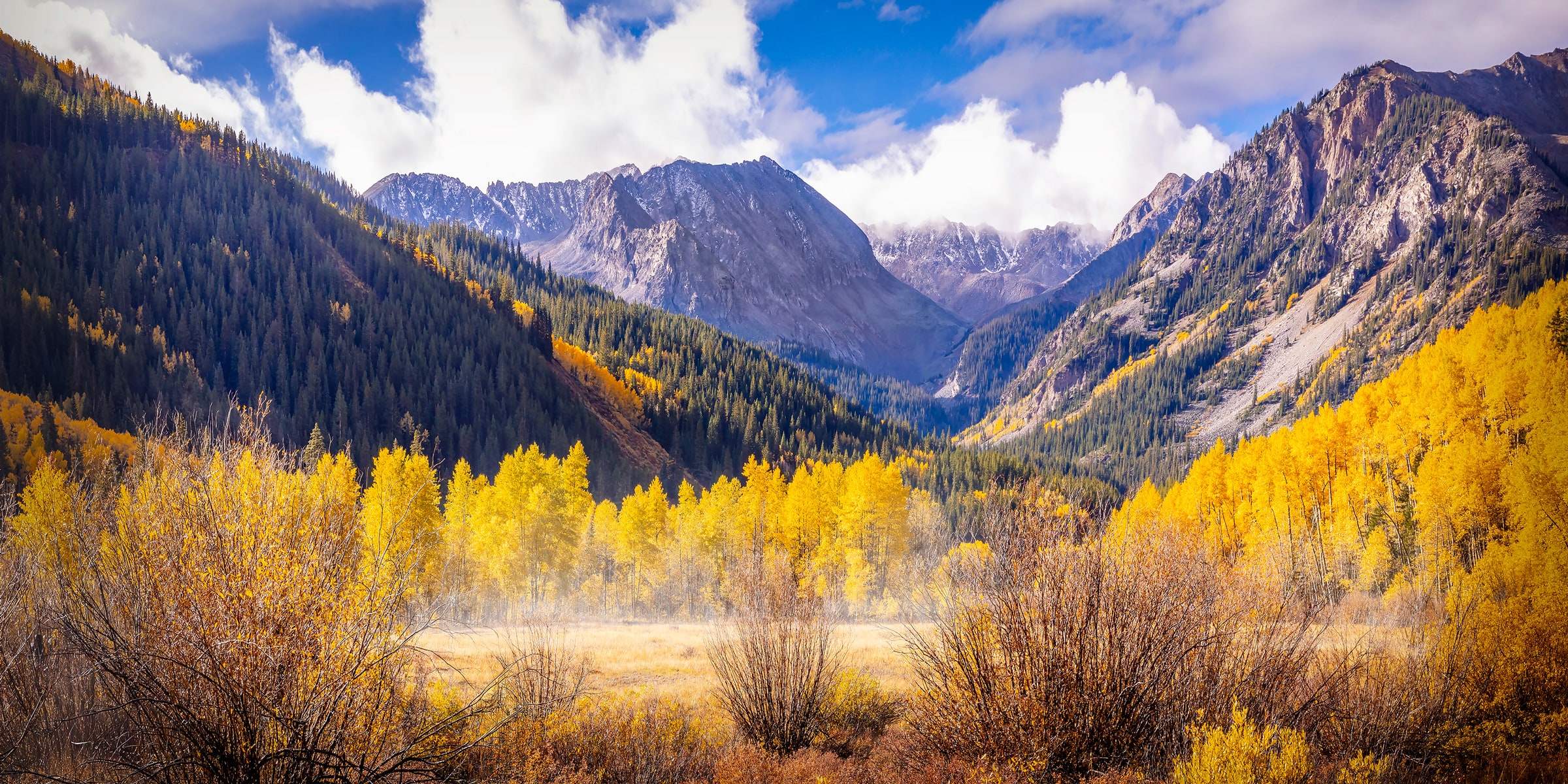 A Birthday in Gold, fine art photography print by Sarah L Glabman