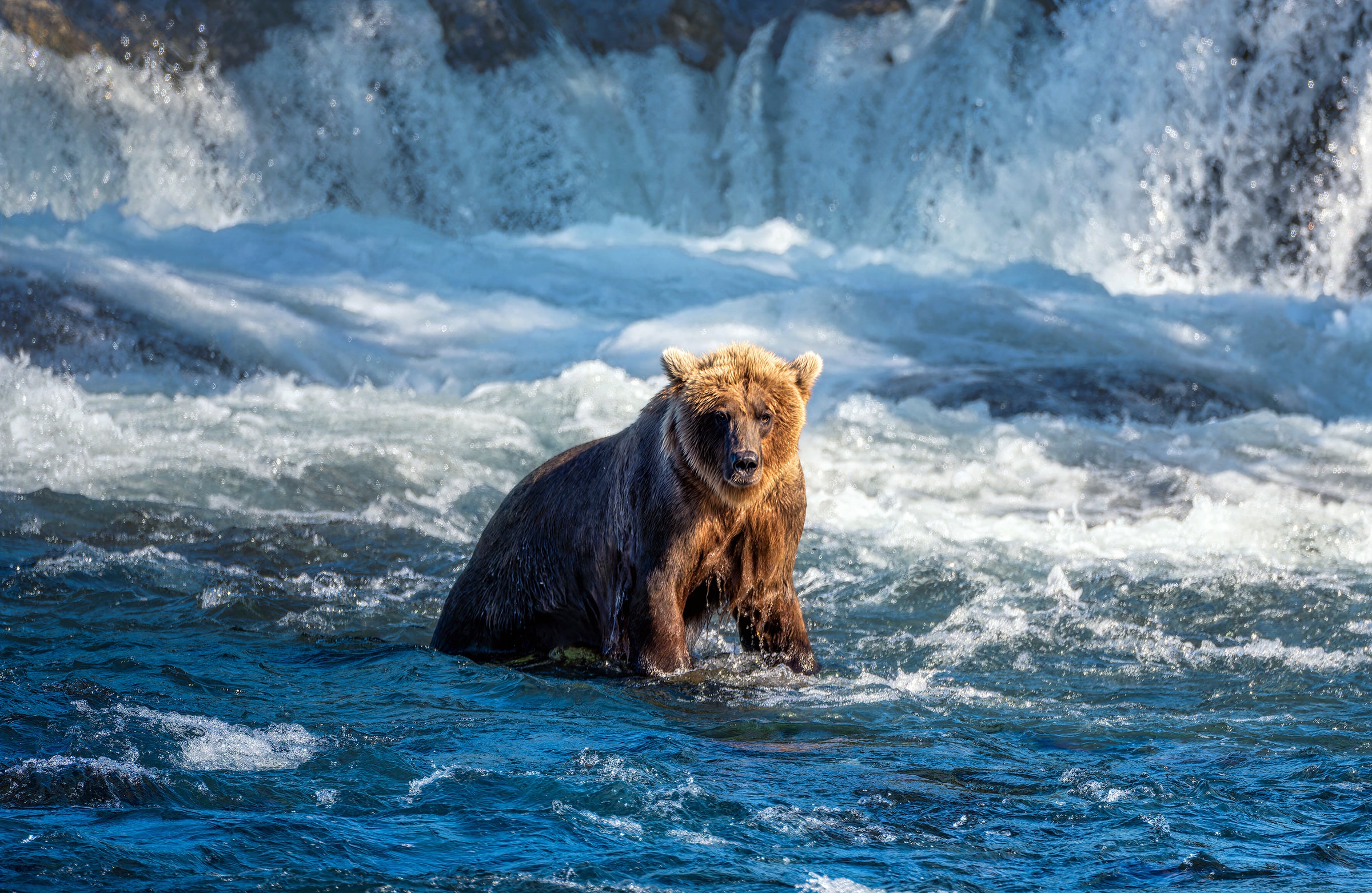 Against the Current, fine art photography print by Sarah L Glabman