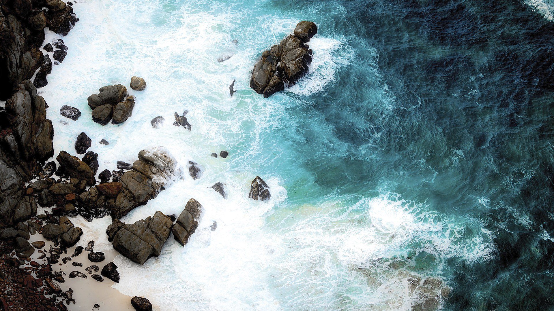 Peace, fine art photograph by Sarah L Glabman