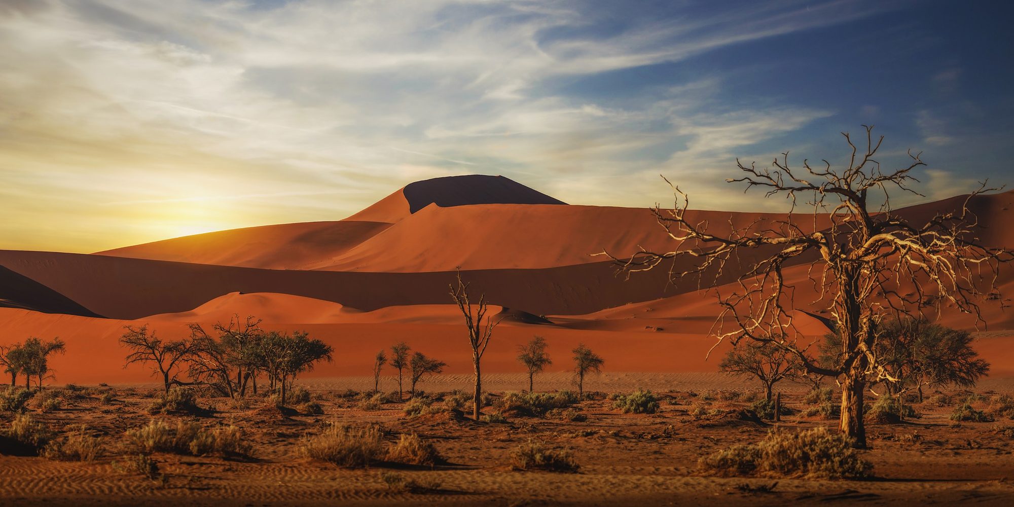 Echoes of Another World, fine art print