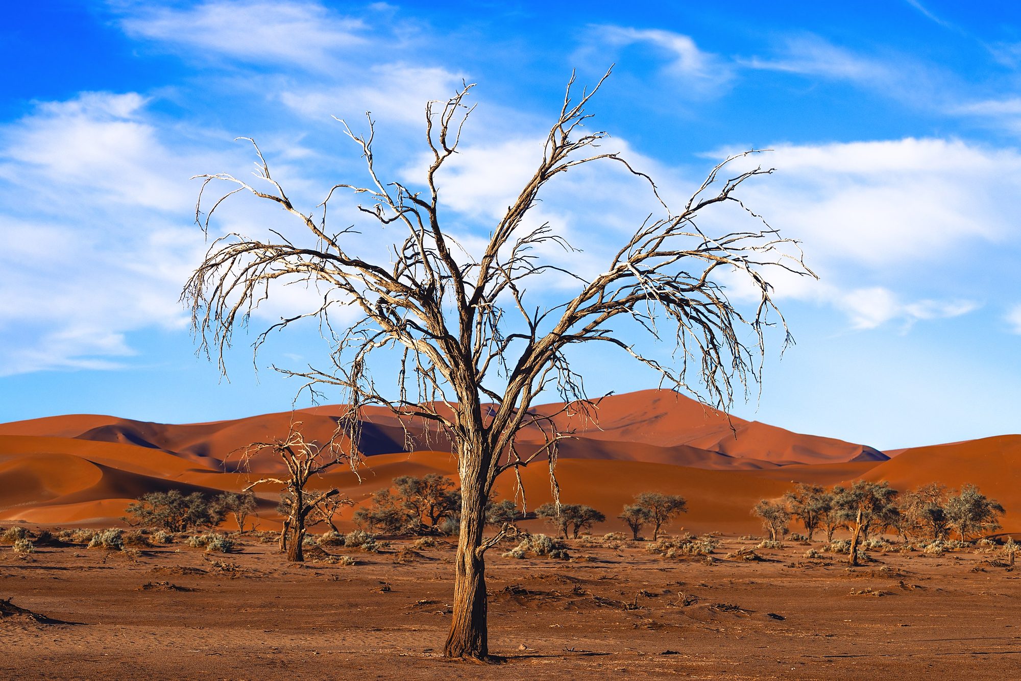 Endurance, fine art print