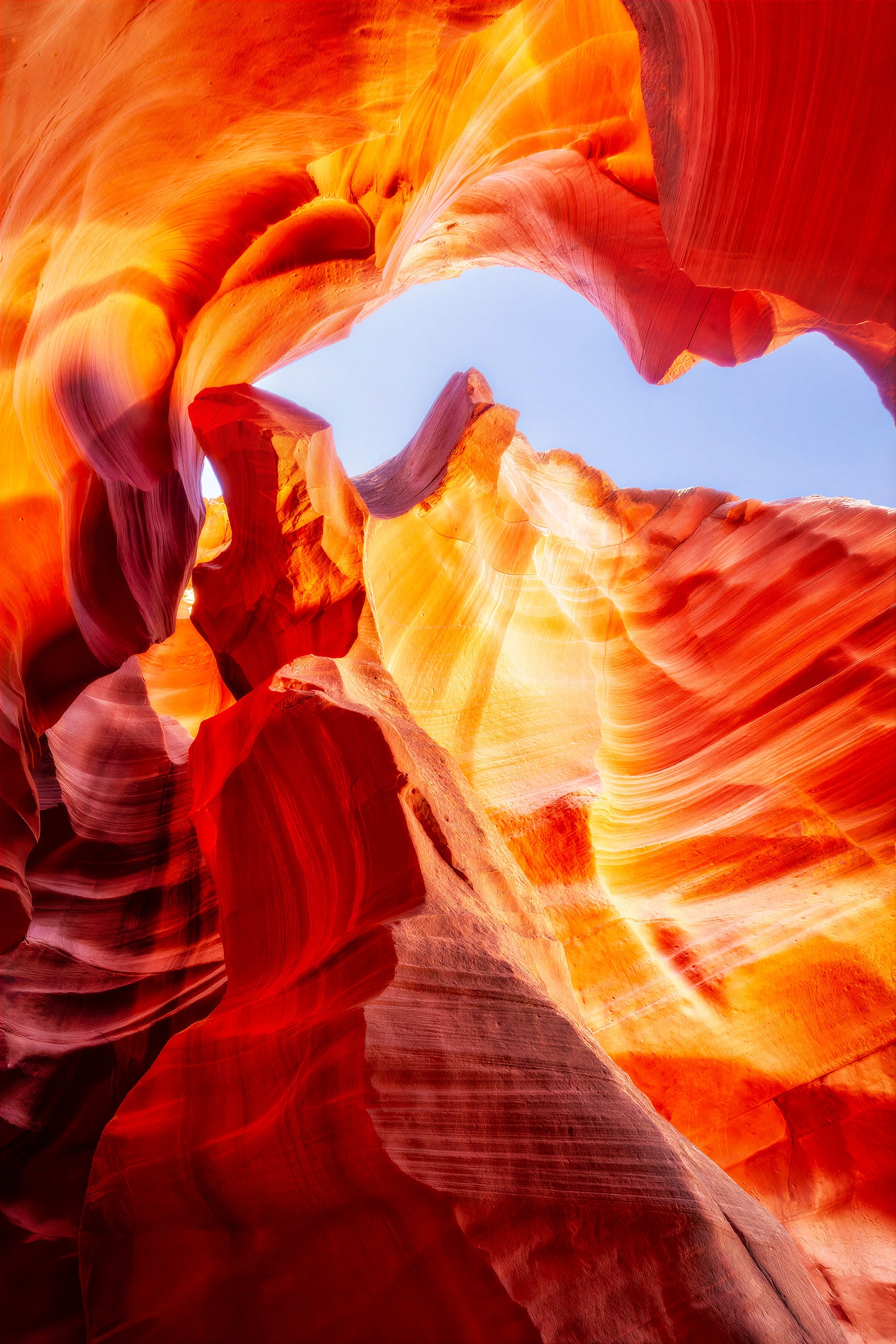 Glory, fine art print