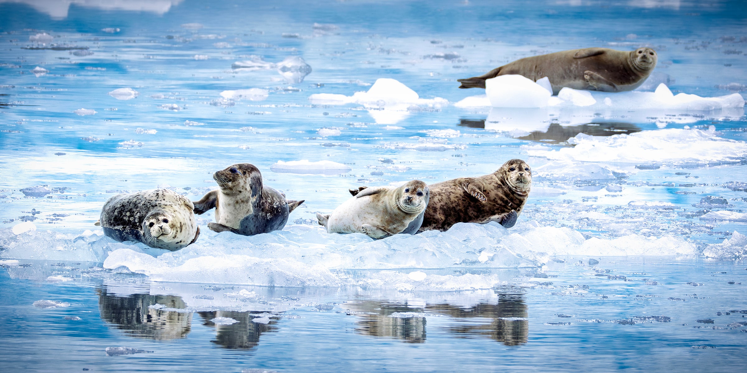 Ice Break, fine art photography print by Sarah L Glabman