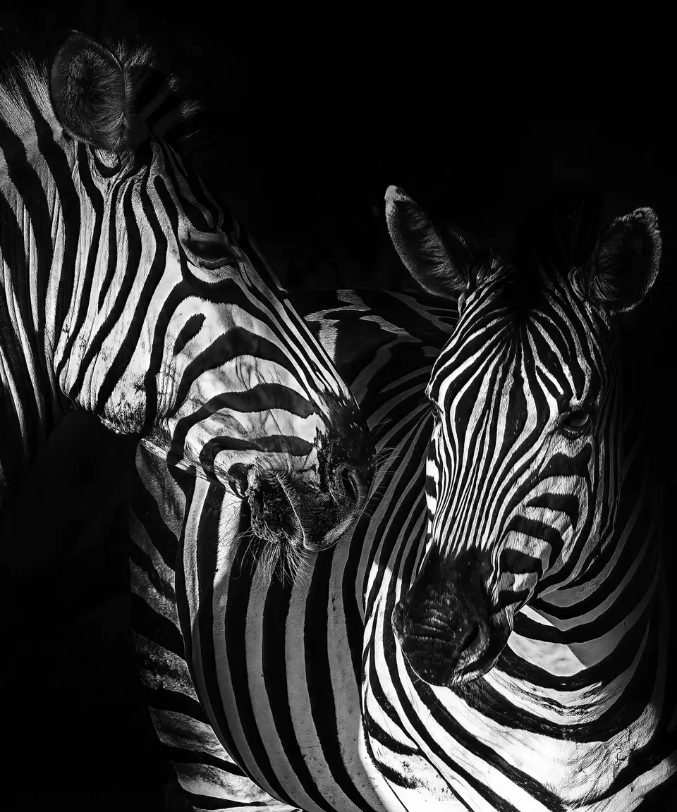 Black & White Prints, SLG Masterworks collection