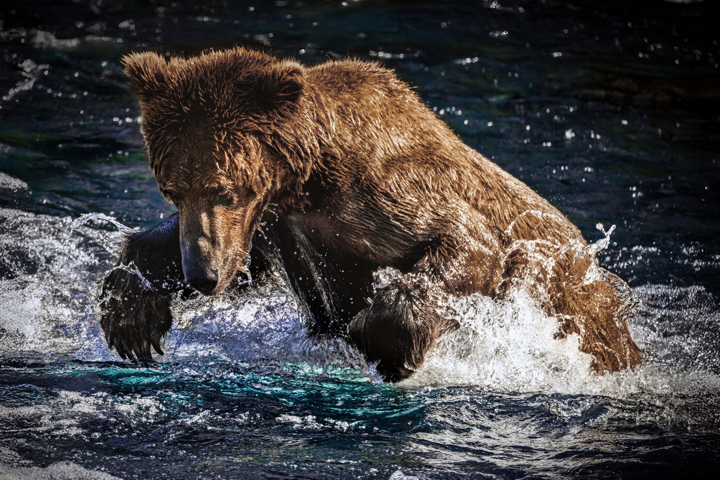A massive coastal brown bear catches salmon in the rushing waters of Katmai Falls, Alaska. Fine art wildlife photograph featuring exceptional detail, frozen water droplets, powerful movement, and rich natural color.