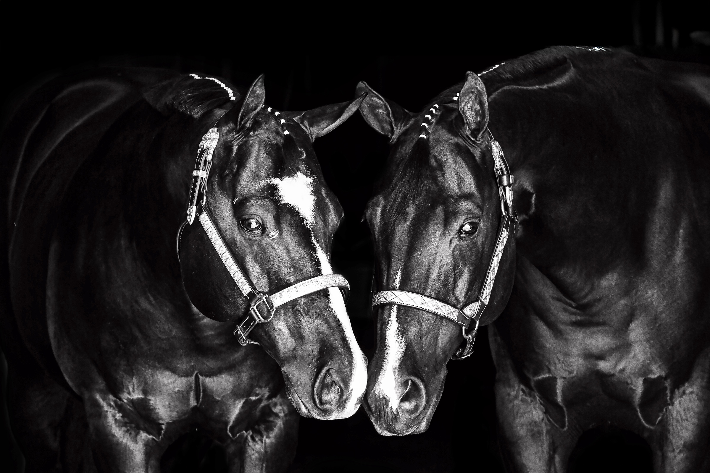 Kindred Spirits, fine art print