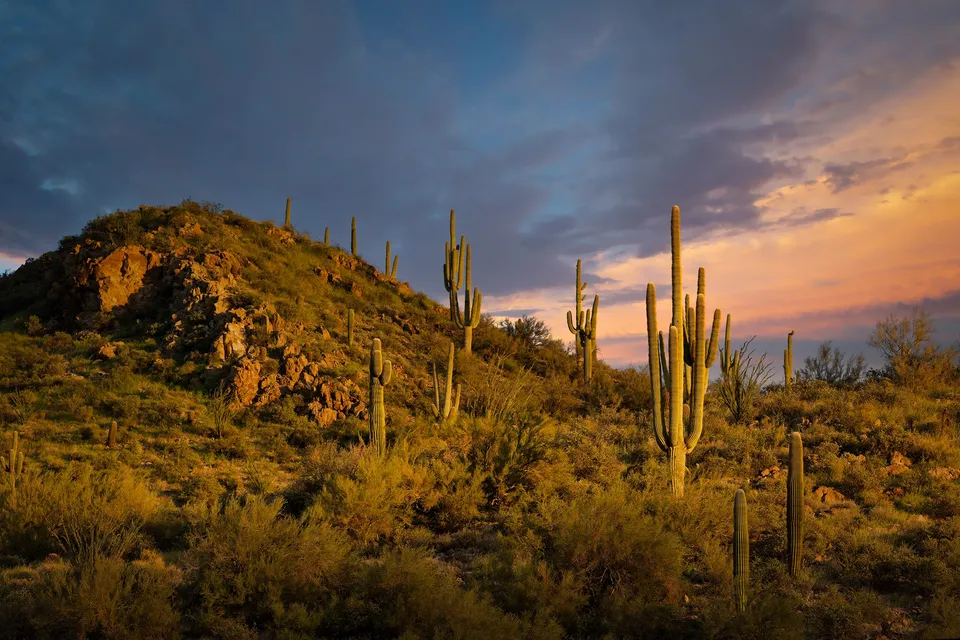 American Southwest Prints, SLG Masterworks collection