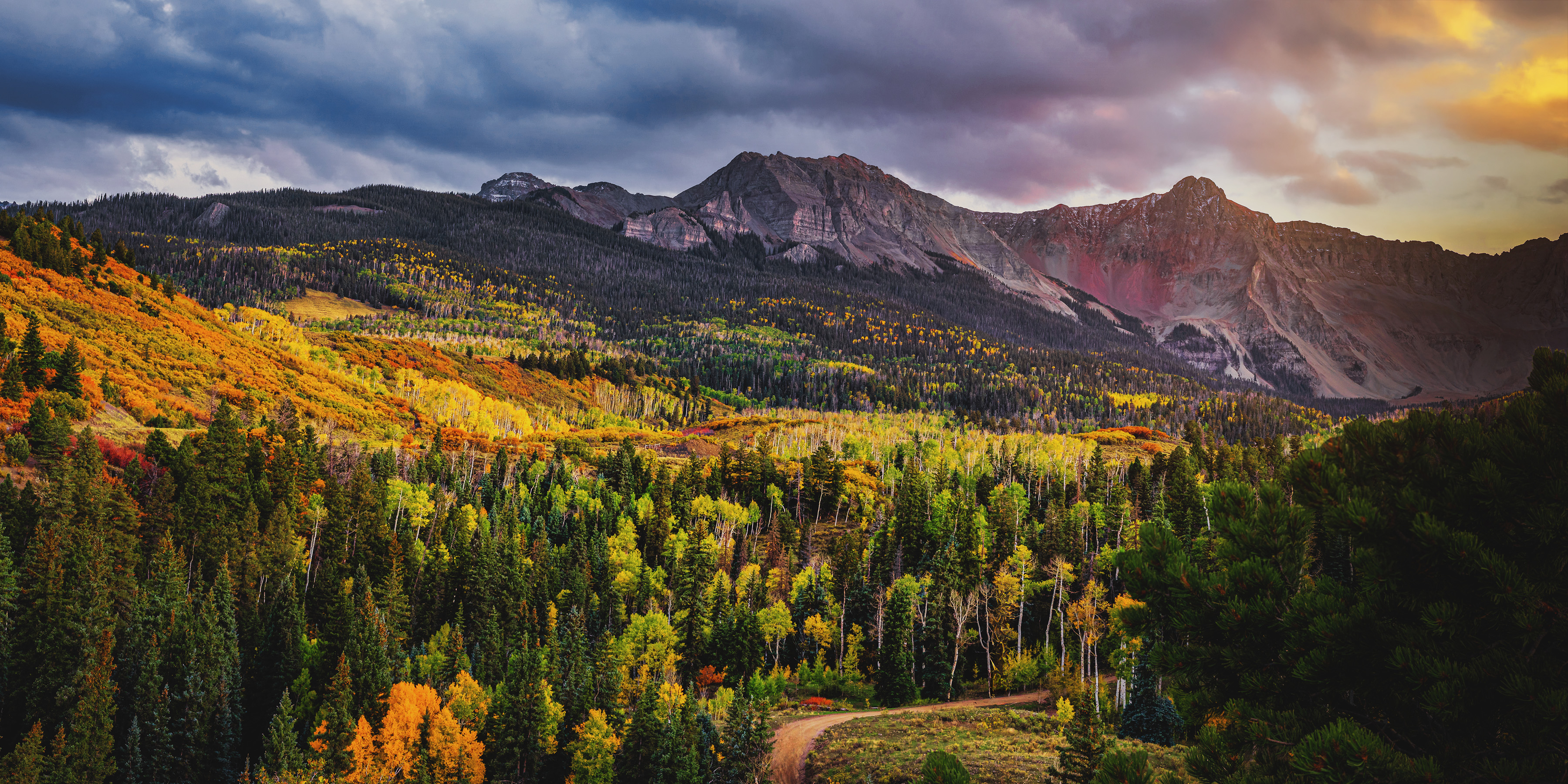 The Long Way Home, fine art print