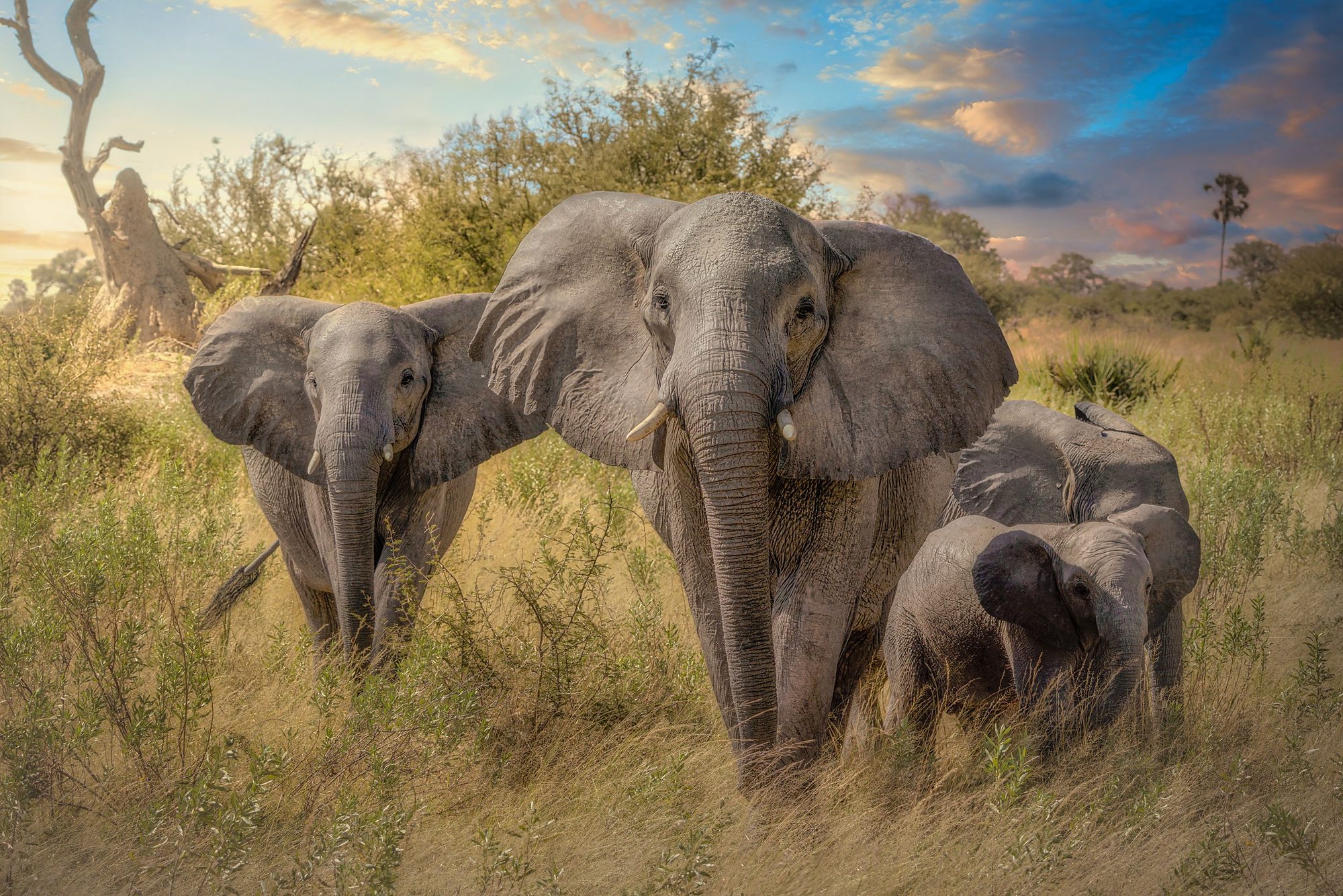 Together, fine art print