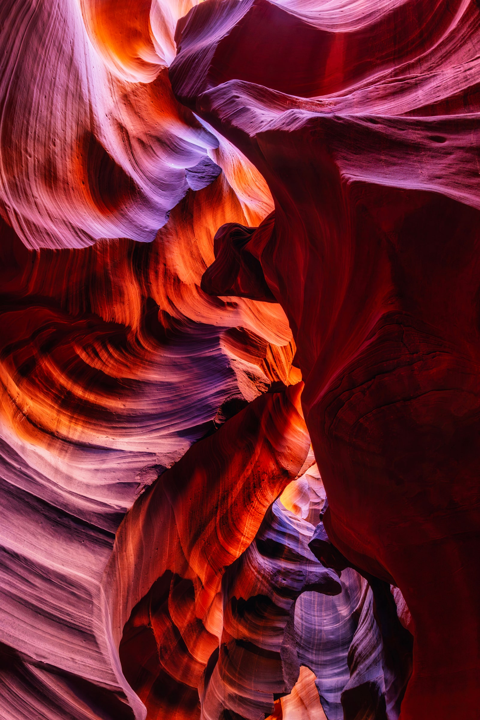 Where Light Finds a Way, fine art print
