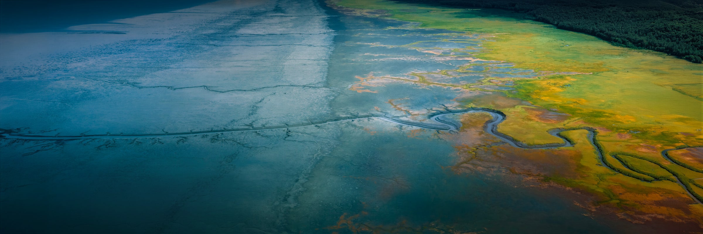 Aerial drone photograph of the Alaska coastline near Anchorage, showing green and golden wetlands, winding tidal channels and rich blue water as the land gradually transitions into the sea.